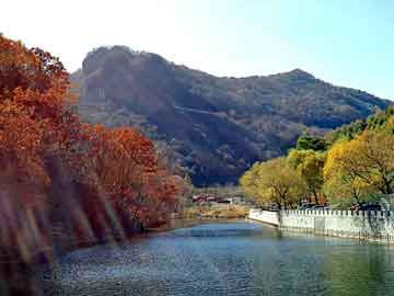 新澳门二四六天天开奖，柴油市场价